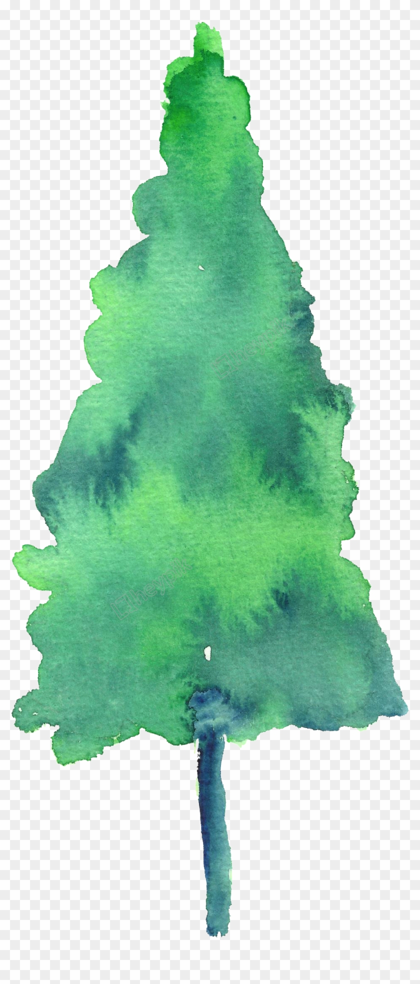 Painted Watercolor Pine Tree Decoration Free Download - Christmas Tree Clipart