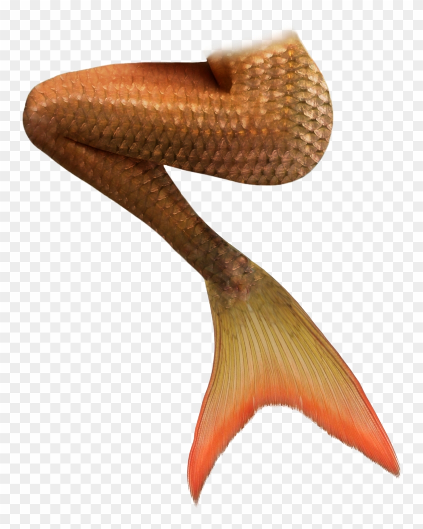 Realistic Mermaid Tail Sitting Clipart