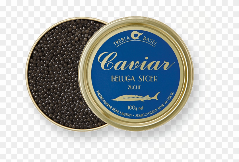 Beluga Kaviar Kaviar Clipart