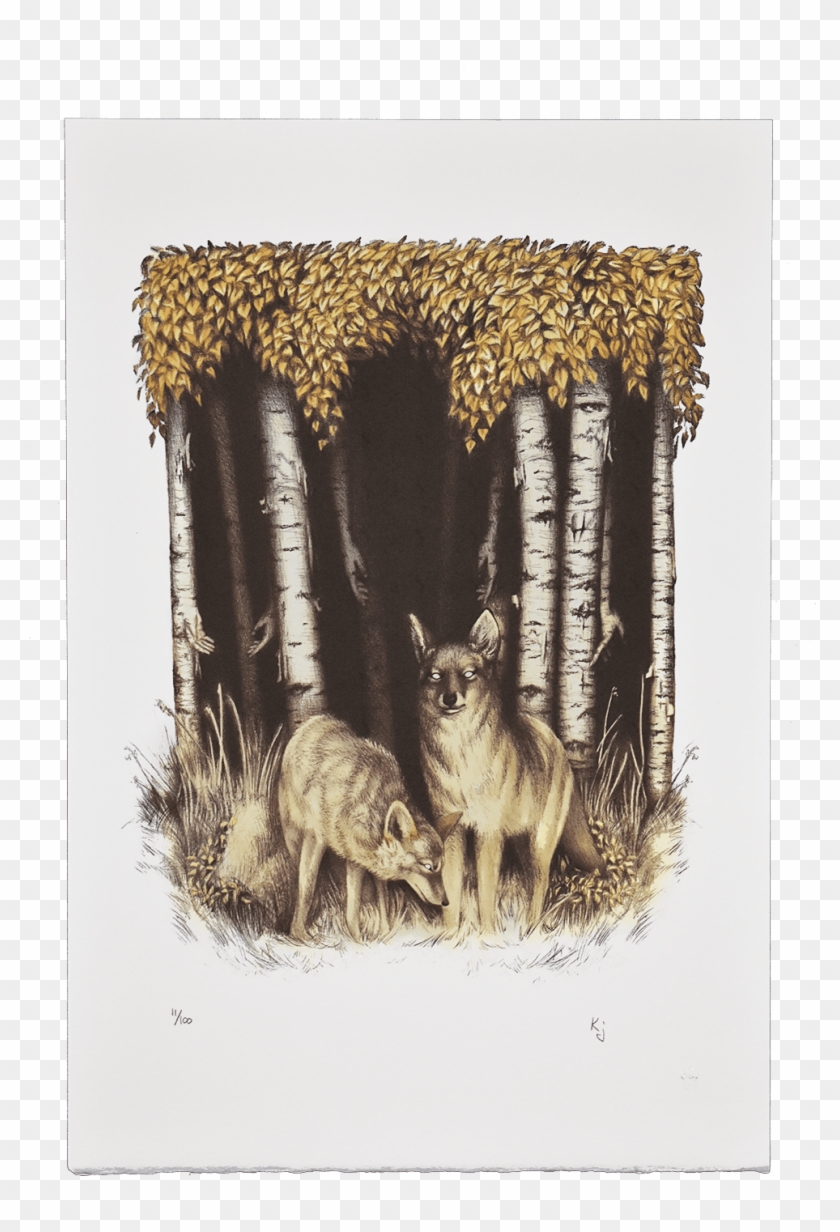 Coyote And Birch - Boar Clipart #5893908