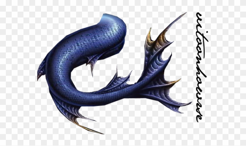Male Mermaid Tail Png Clipart