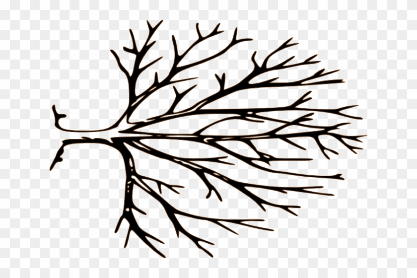 Large Printable Tree Template Clipart