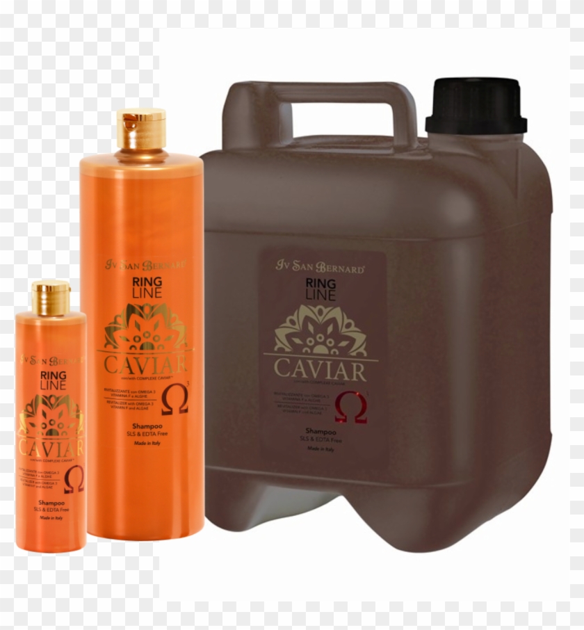 Caviarshp - Caviar Iv San Bernard Clipart