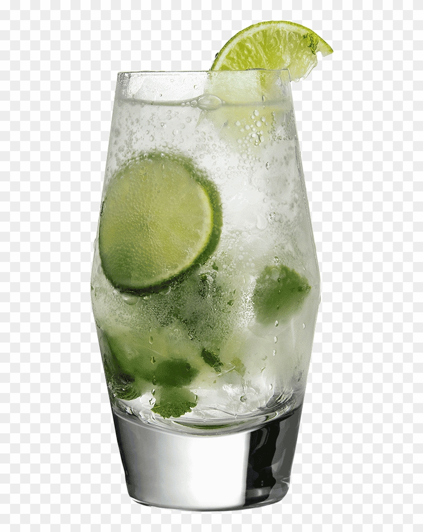 Mojito Clipart #5896182
