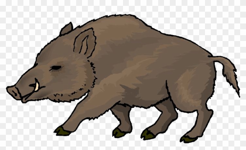 Clip Royalty Free Library Wild Boar Clip Art - Clip Art Boar - Png Download