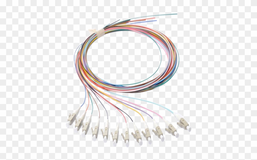 Wire Clipart #5899060