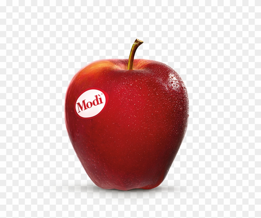 Modi Apple Clipart
