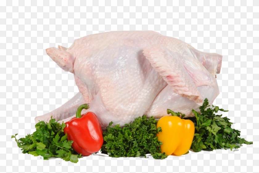 Turkey Food Png - Turkey Meat Clipart #591309