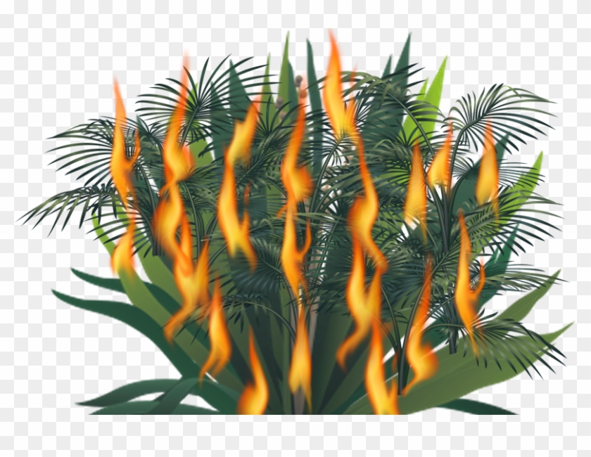 Fire Bush - Tree Clipart #592162