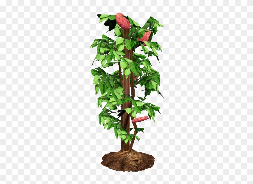 Flower Bush Png Death Eggplant Clipart - Bell Pepper Plant Png Transparent Png #592295