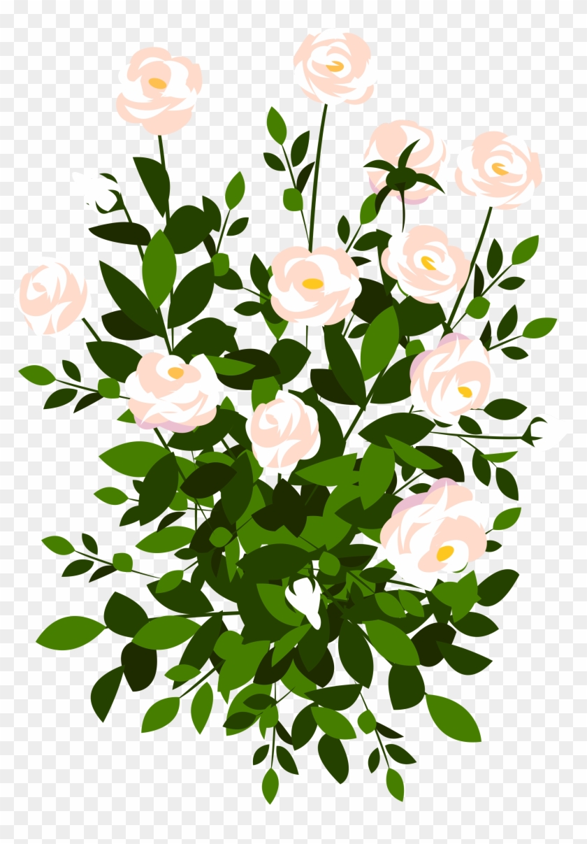 Whte Rose Bush Png Clipart Picture - Rose Bush Clip Art Transparent Png
