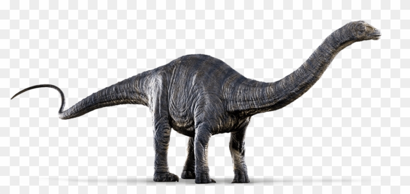 Jurassic World Png Image - Dinosaur Apatosaurus Clipart #592764
