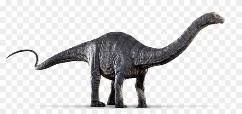 Jurassic World Png Image - Dinosaur Apatosaurus Clipart