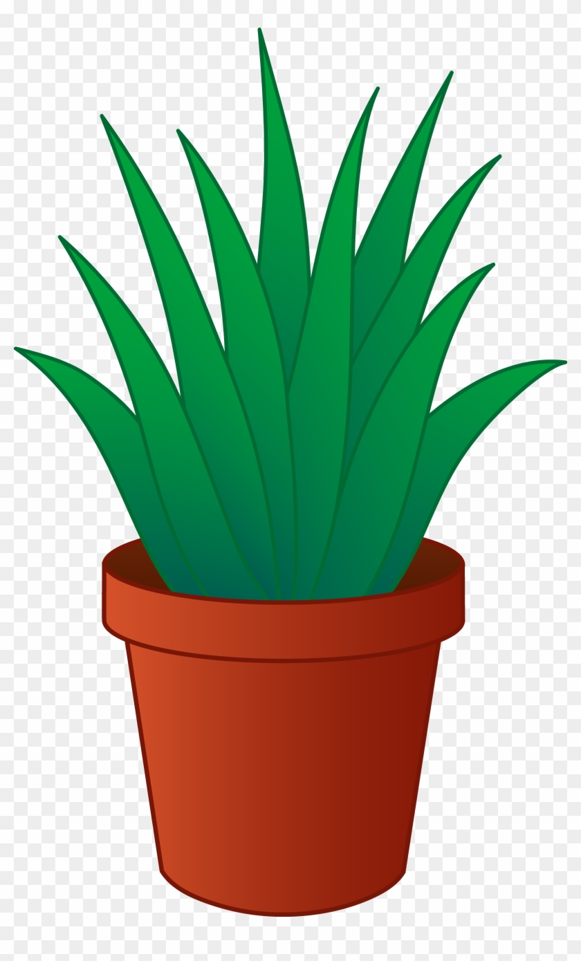 Aloe Vera Plant In Pot Clipart - Aloe Vera Plant Clipart - Png Download #592839