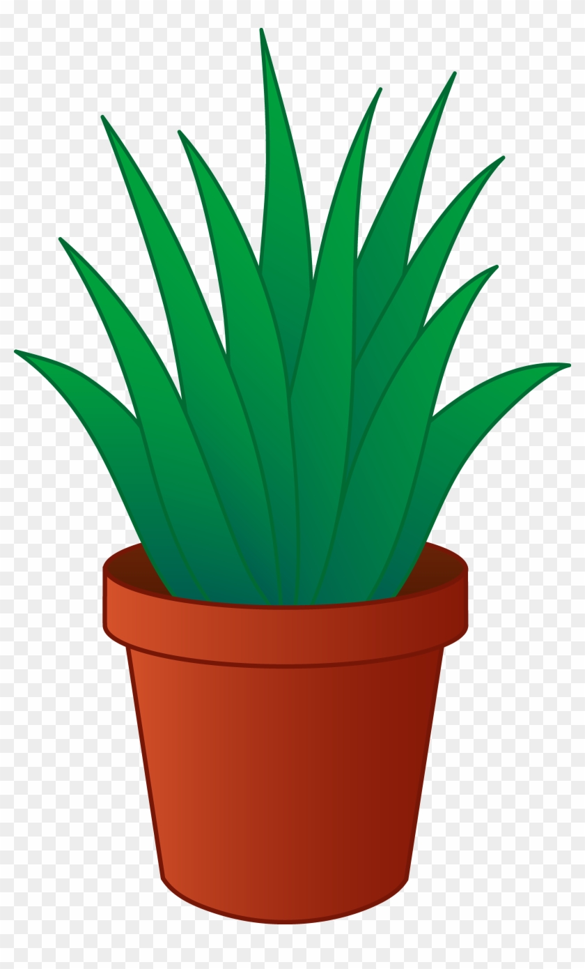 Aloe Vera Plant In Pot Clipart - Aloe Vera Plant Clipart - Png Download