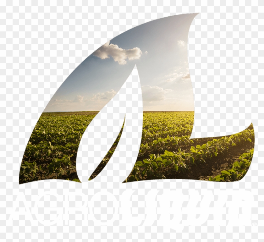 Agroliquid Logo - Grass Clipart #593147