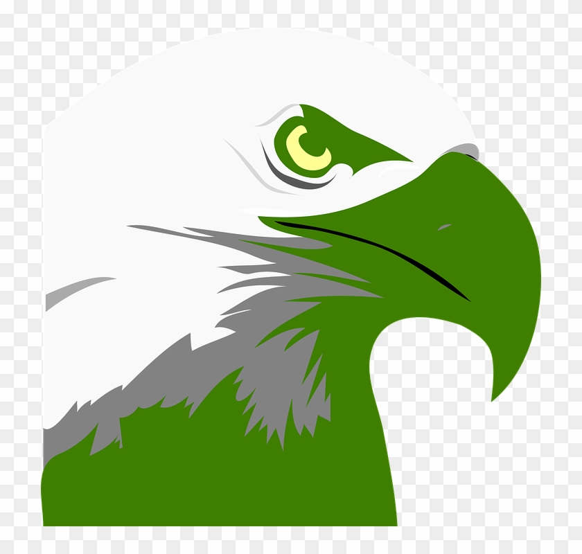 How To Set Use Green Eagle Icon Png Clipart