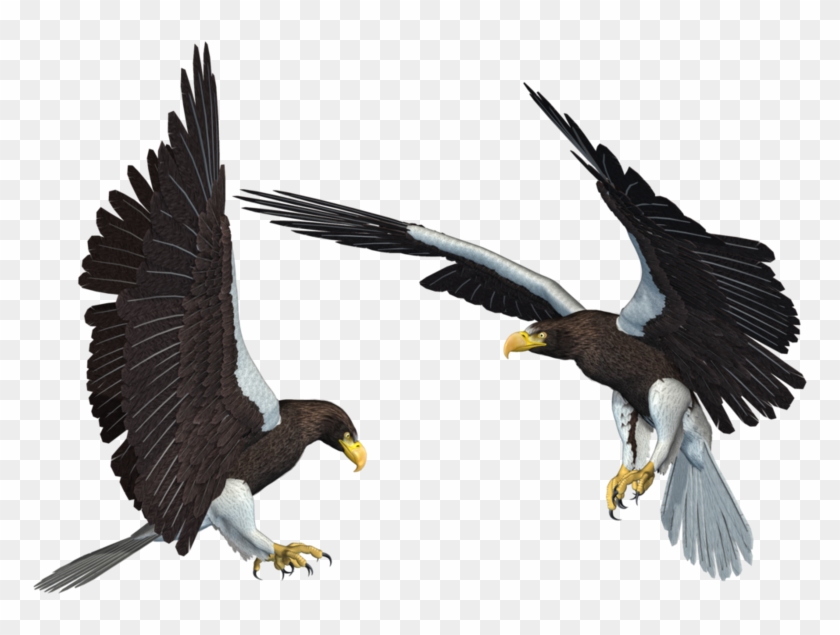 Eagle 3d Png , Png Download - Eagle 3d Png Clipart #593709