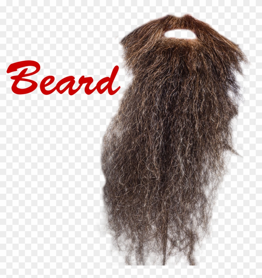 Long Beard Transparent Clipart