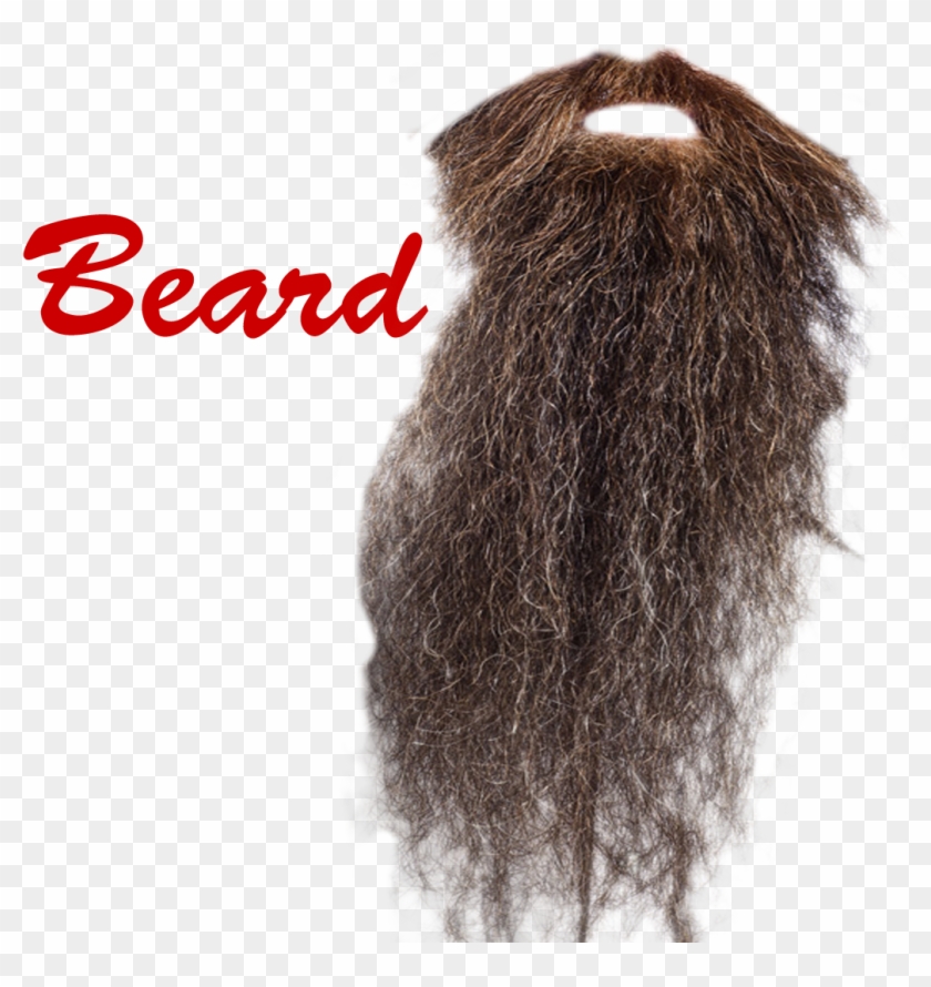 Long Beard Transparent Clipart #593741