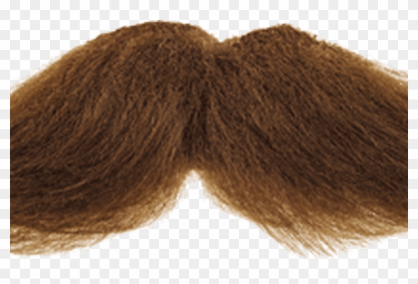 Real Beard Png - Wool Clipart #593848