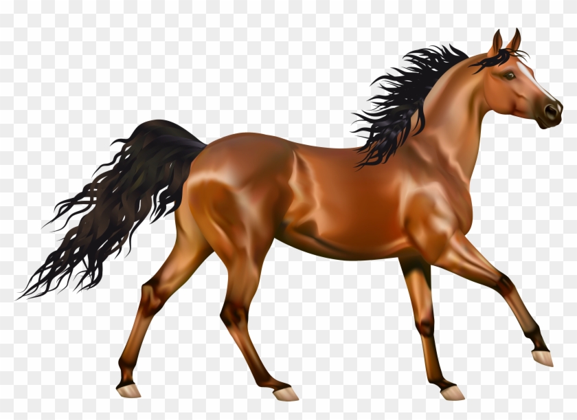 Horse Png Clipart Transparent Png #594166