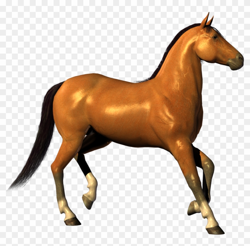 Download Free High Quality Horse Png Transparent Images - Horse White Background Hd Clipart #594453