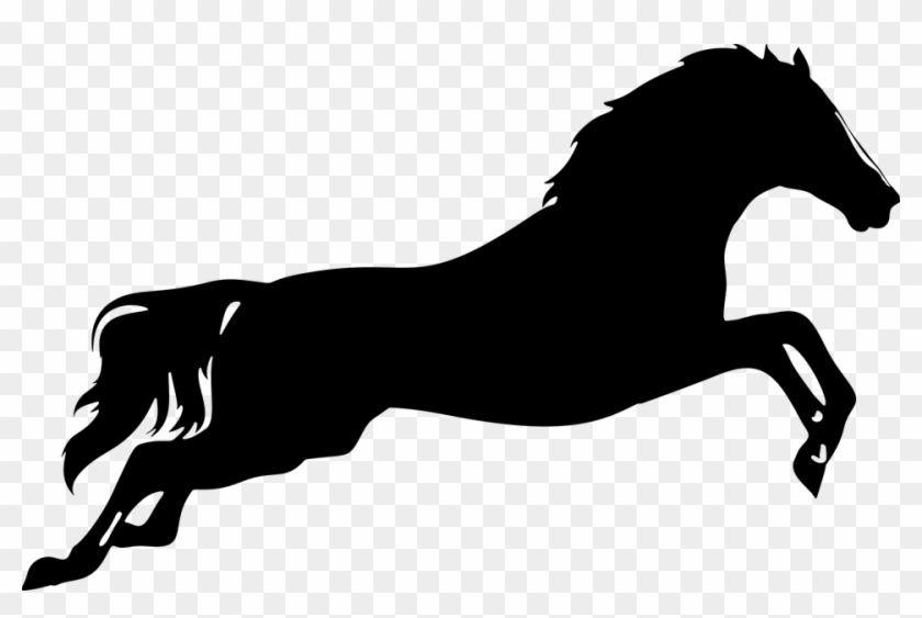 Download Horse Png Transparent Images Transparent Backgrounds - Horse Silhouette Clip Art Png #594967