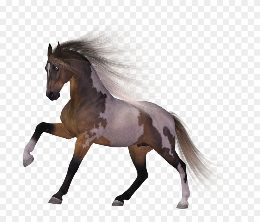 Download Horse Png Transparent Images Transparent Backgrounds - Stallion Clipart #595089