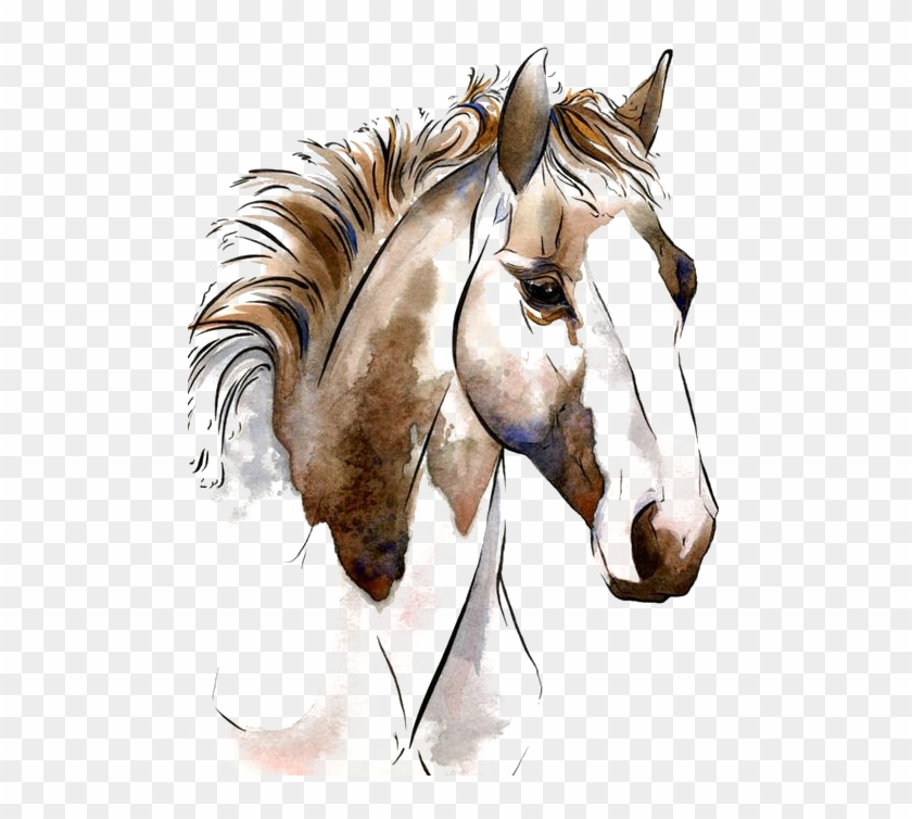 White Horse Png - Horse Painting Png Clipart #595465