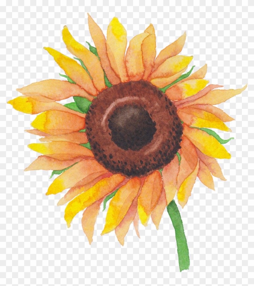 1361 X 1468 11 - Sunflower Clipart #595662