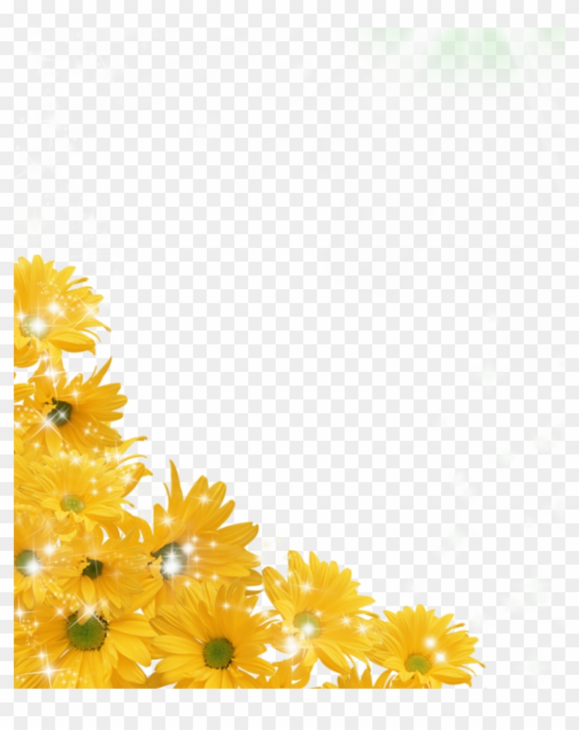 816 X 980 5 - Transparent Background Sunflower Border Clipart
