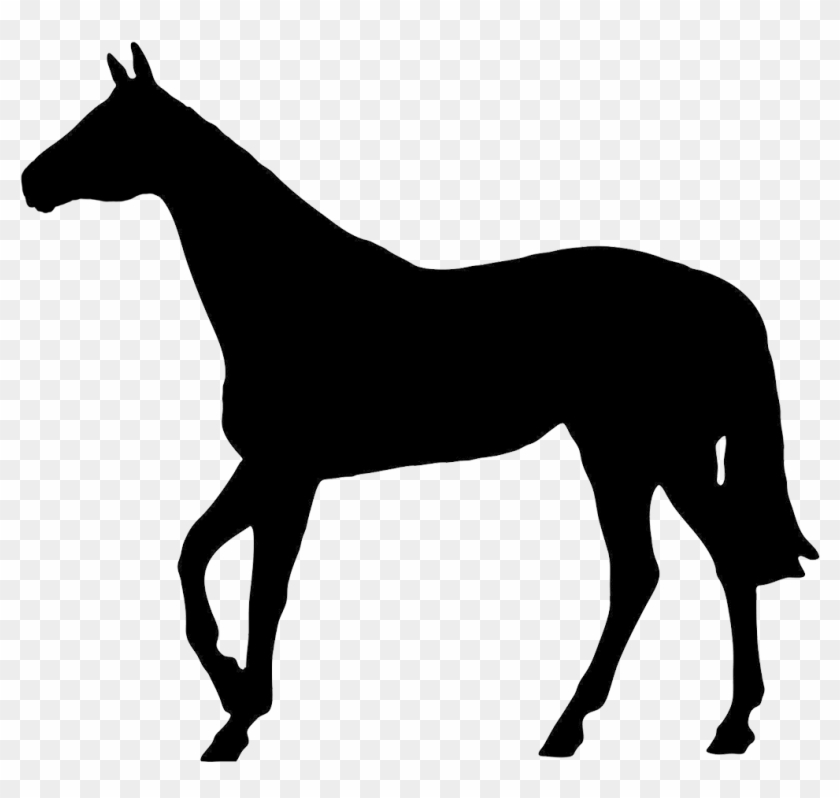 Horse Black Silhouette Do's Amp Don'ts Silhouettes - Boxer Dog Silhouette Vector Free Clipart #595997