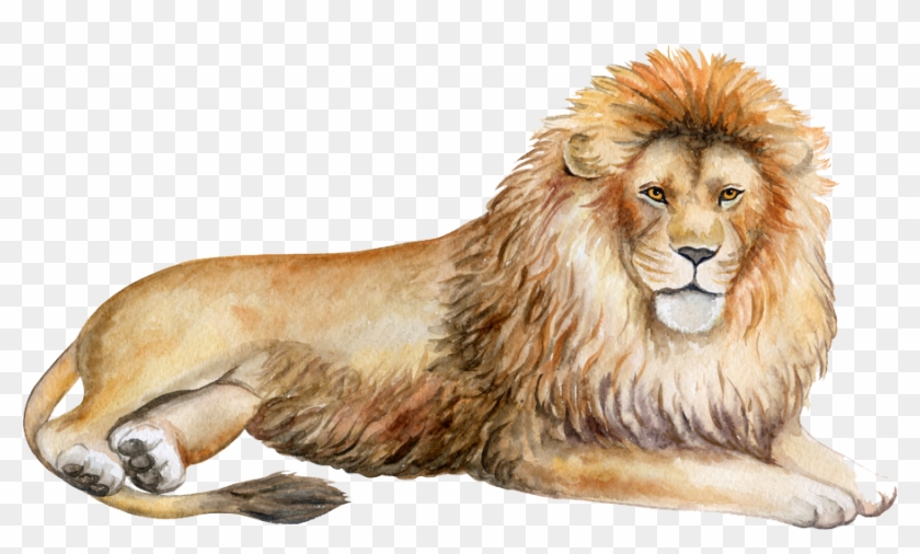 Lion Png - Masai Lion Clipart #596023