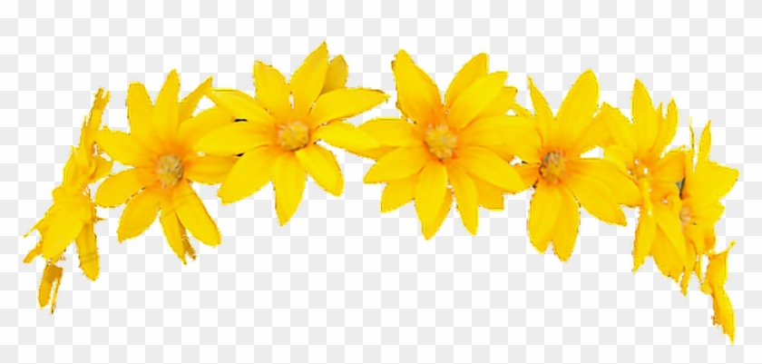 Snapchat Filter Flowercrown Character Render Freetouse Clipart