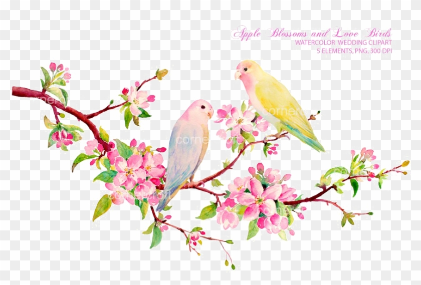 Love Birds Png Download Image - Love Birds Painting Watercolor Clipart #596763