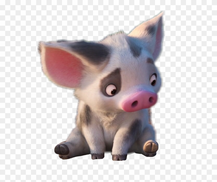 555 X 628 21 - Pua Moana Transparent Background Clipart