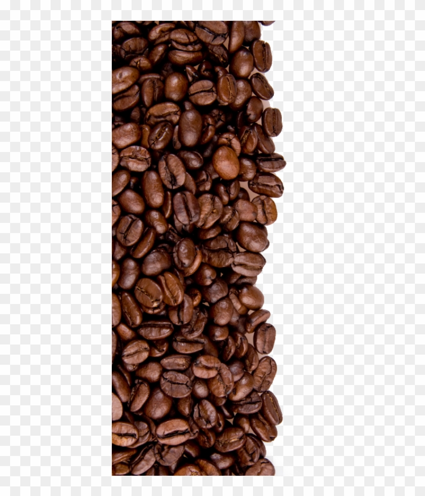 Coffee Beans Png Image - Coffee Beans Transparent Background Clipart #596879