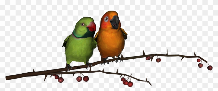 Love Birds Download Png - Birds Images In Png Clipart #596881