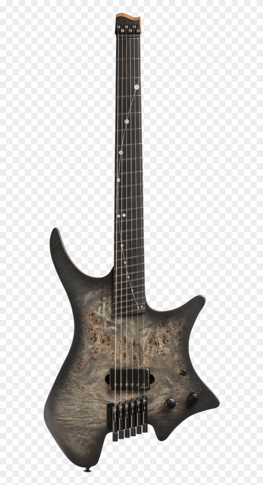 Boden Masvidalien Cosmo Clipart