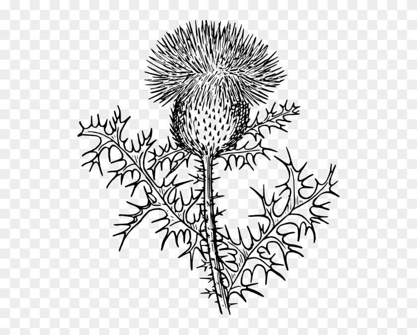 Rag Weed Svg Clip Arts 528 X 594 Px - Png Download