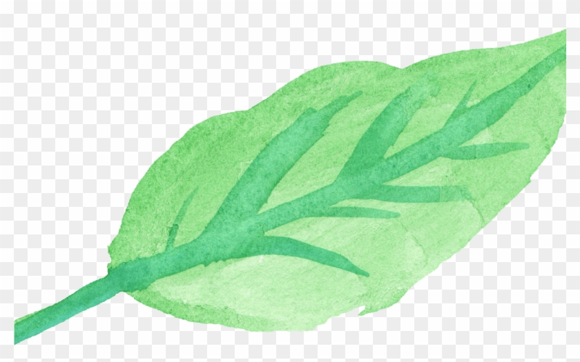 15 Watercolor Leaves Png For Free Download On Mbtskoudsalg Clipart #597247