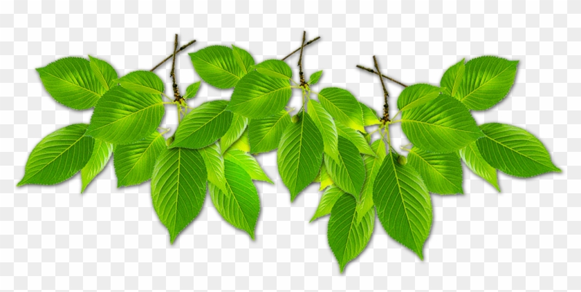 1500 X 1500 11 Clipart #597335