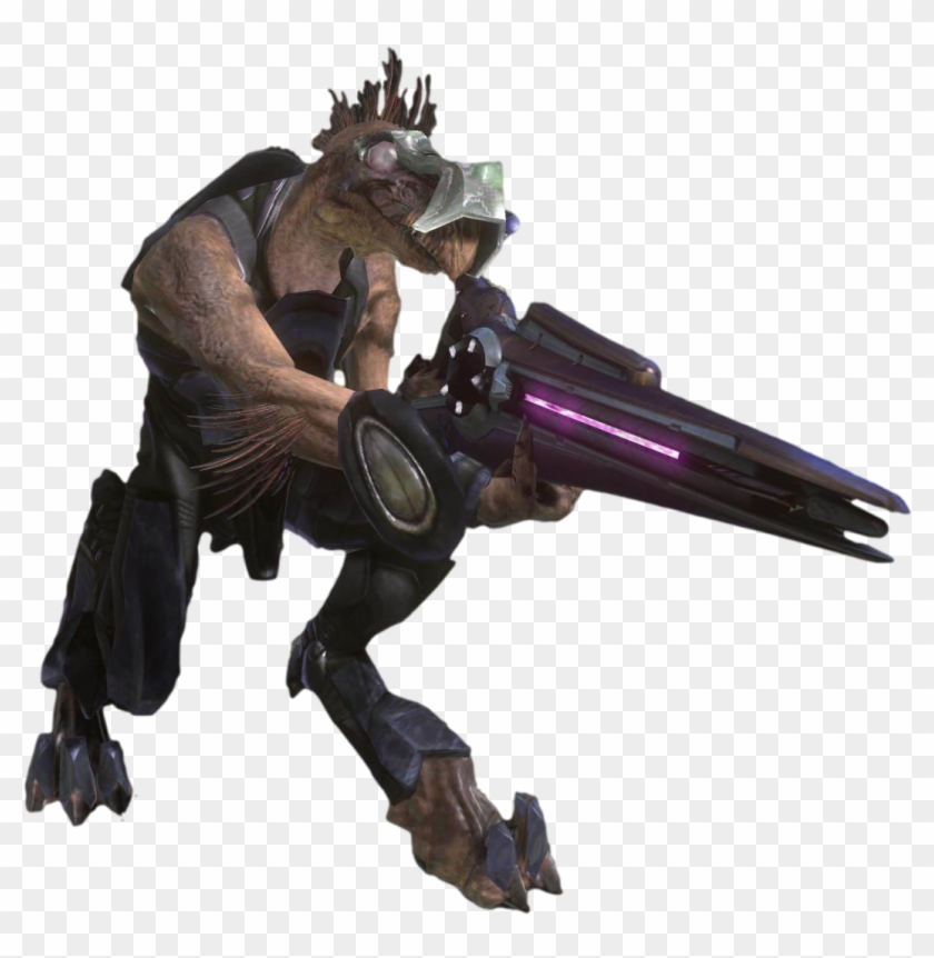 Clip Art Image H Jackal Png Nation Fandom Transparent Png #597384