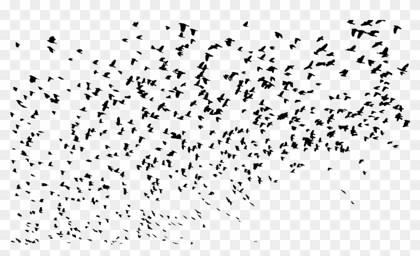 This Free Icons Png Design Of Large Flock Of Birds Clipart