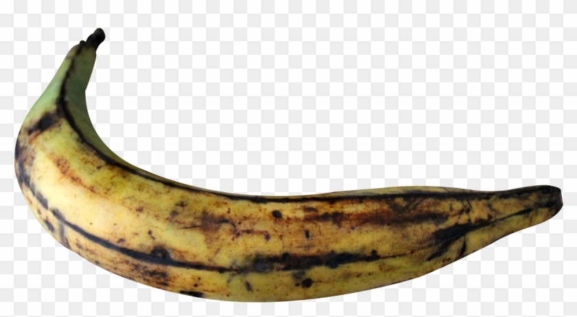 Banana Clipart Photo - Plantain Png Transparent Png