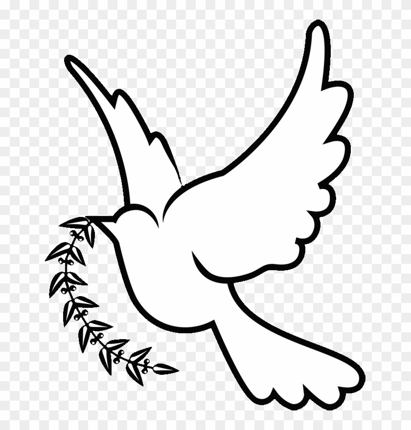 28 Collection Of Dove Drawing Png - White Dove Drawing Png Clipart #598710