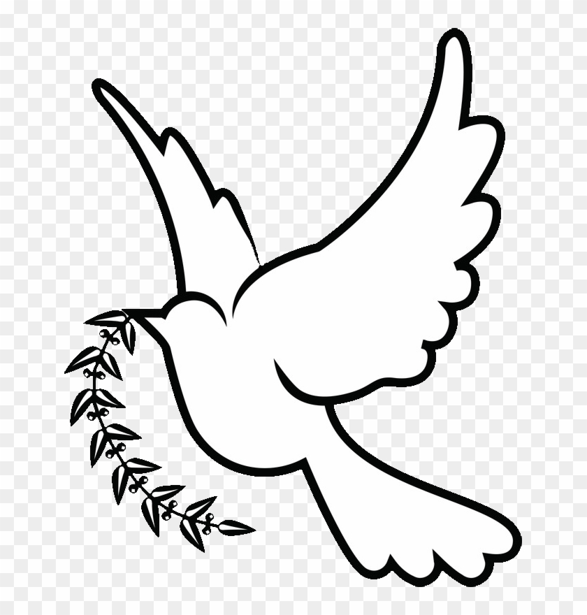 28 Collection Of Dove Drawing Png - White Dove Drawing Png Clipart