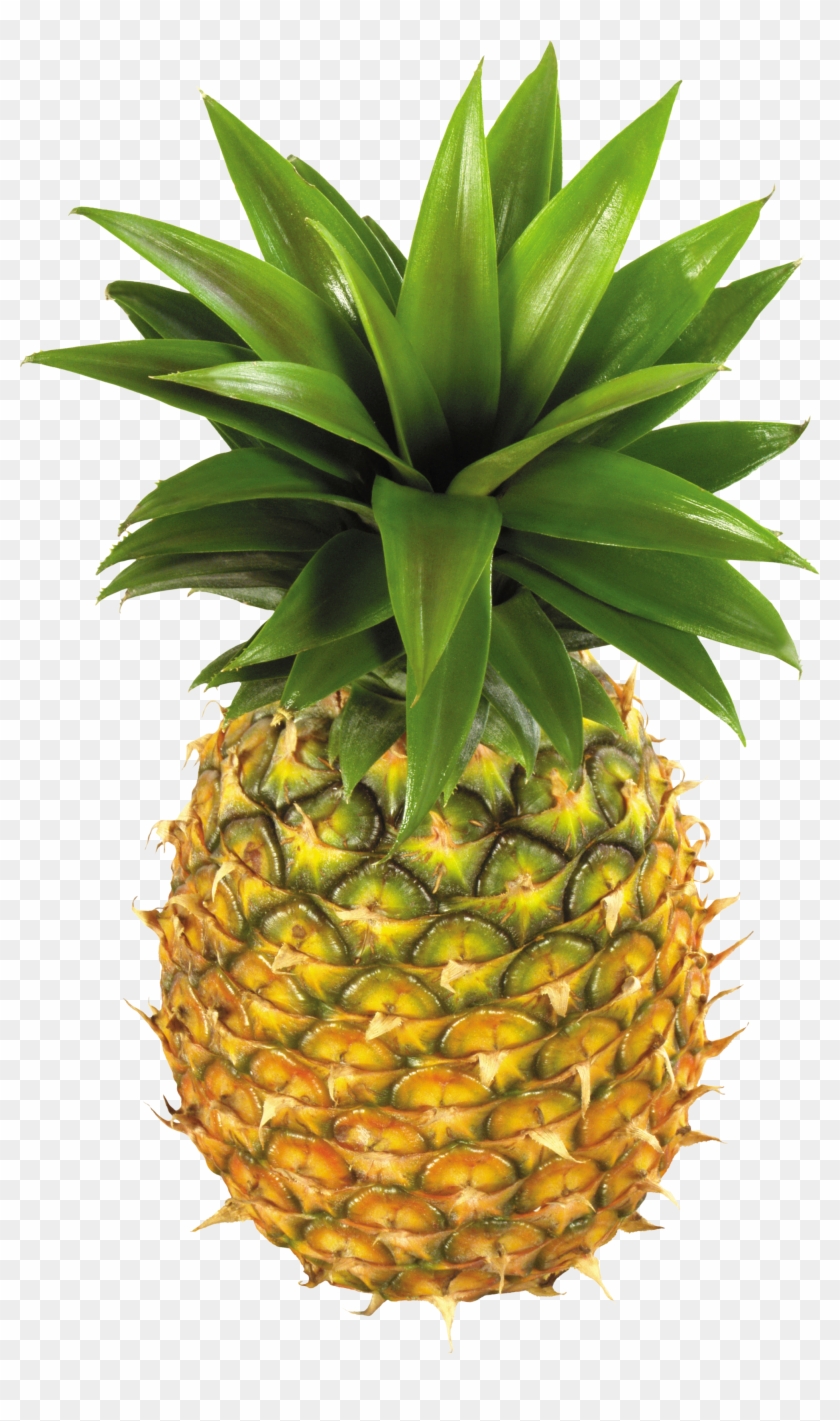Pineapple Fruit Png Image - Pineapple Png Clipart Transparent Png #598771