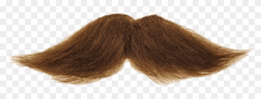 Free Png Download Mustache Brown Png Images Background - Moustache Transparent Background Clipart